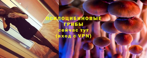 гидропоника Балабаново