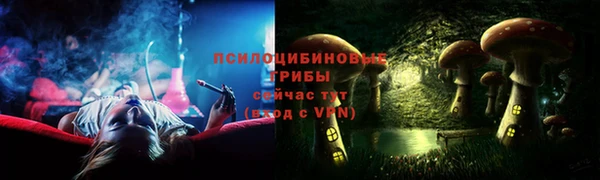 гидропоника Балабаново