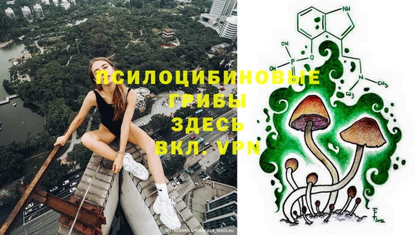 гидропоника Балабаново